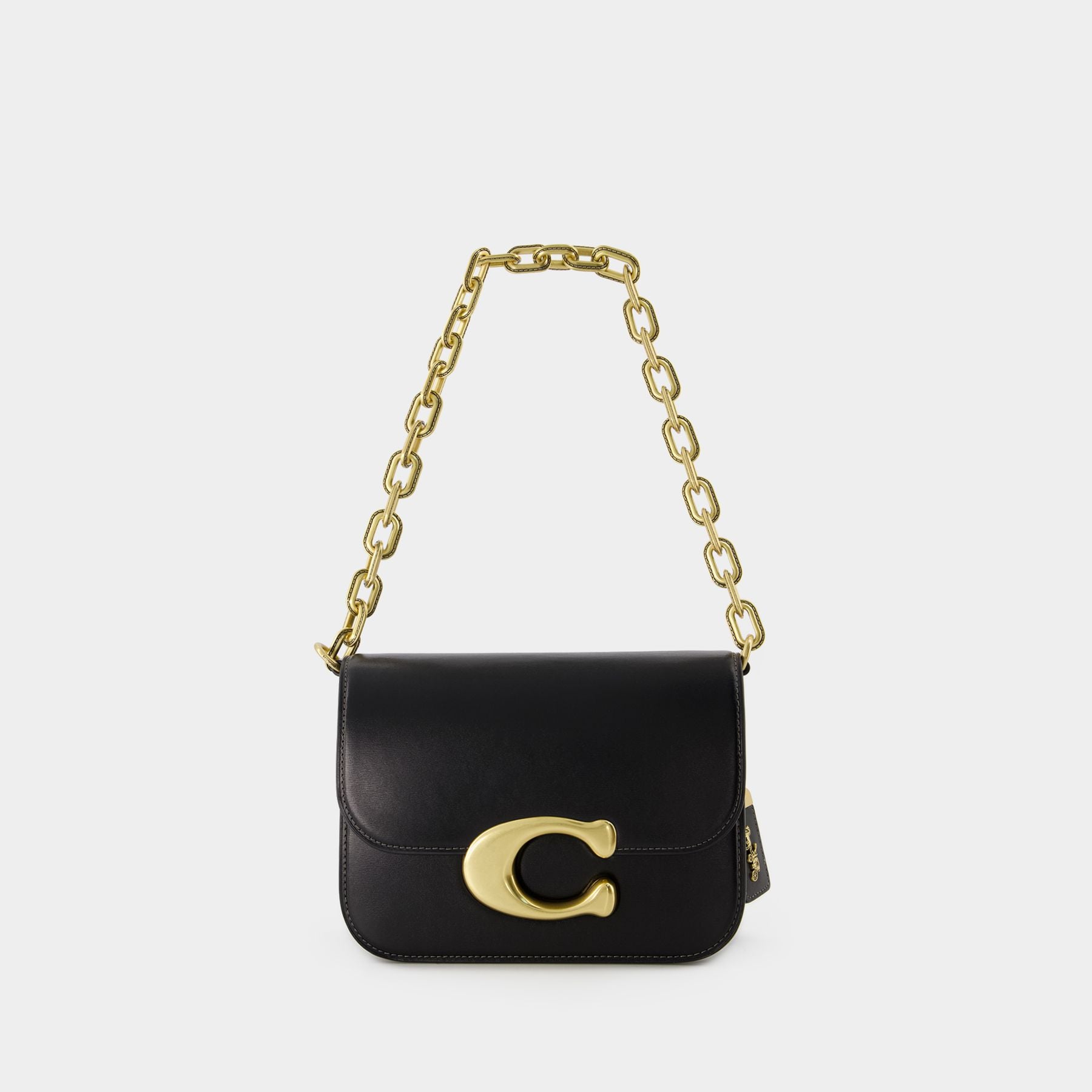 Coach mini bag card holder with chain [Original], Luxury, Bags