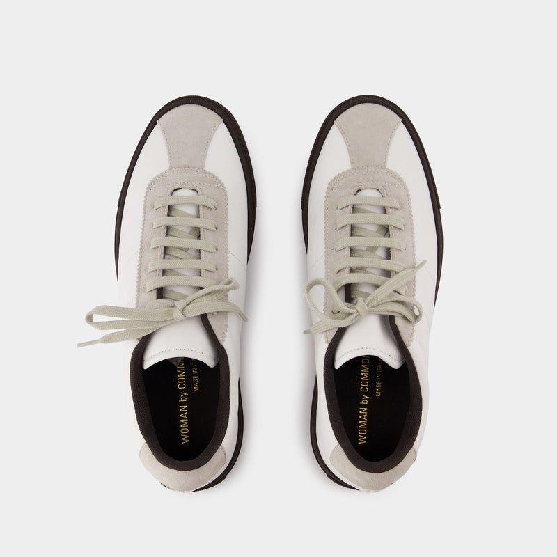 Common projects trainer online