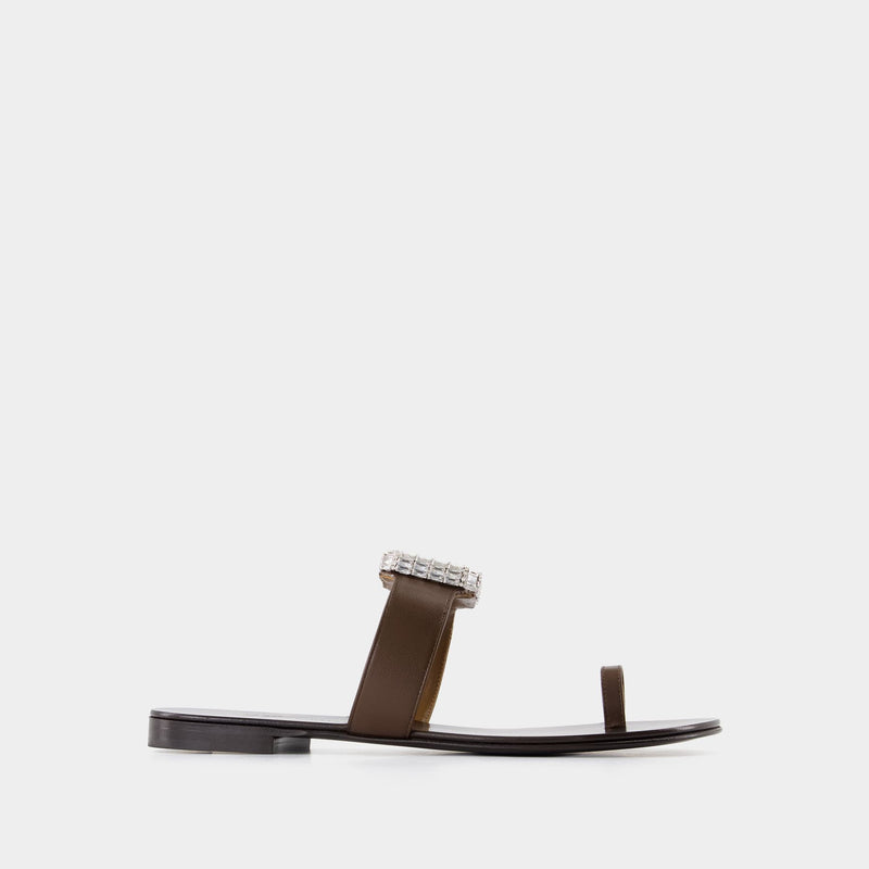 Blahir Flat Sandals - Giuseppe Zanotti - Leather - Brown